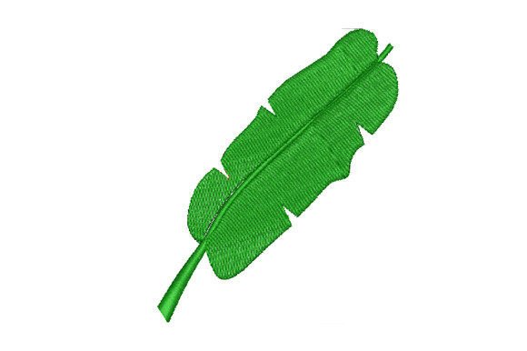 Green Banana Leaf: A Natural and Beautiful Design